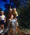 0140-tree stump, Judy, Marcia, Richard